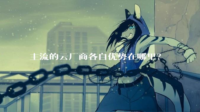 主流的云厂商各自优势在哪里？