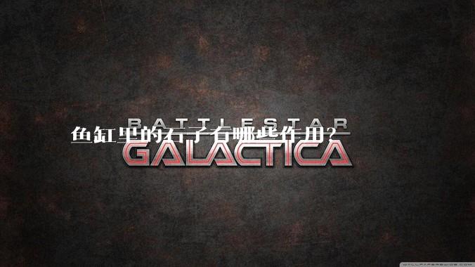 鱼缸里的石子有哪些作用？