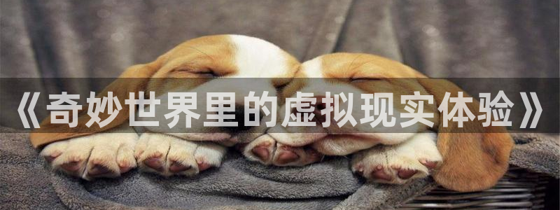 华润娱乐注册链接：《奇妙世界里的虚拟现实体验》